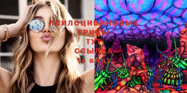 кокс Абаза